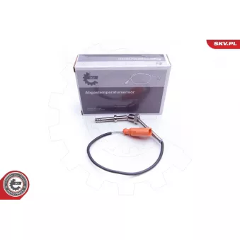 Capteur, température des gaz ESEN SKV 30SKV131