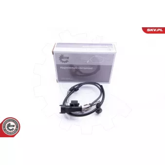 Capteur, température des gaz ESEN SKV 30SKV132