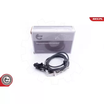 Capteur, température des gaz ESEN SKV 30SKV133