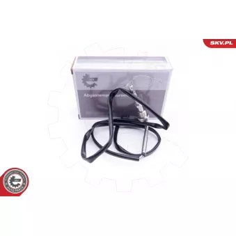 Capteur, température des gaz ESEN SKV 30SKV134