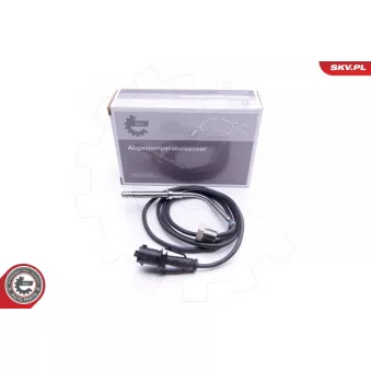 Capteur, température des gaz ESEN SKV 30SKV139