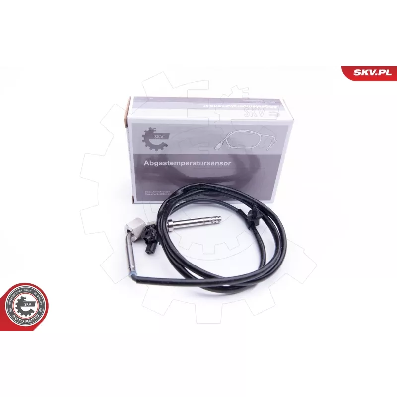 Capteur, température des gaz ESEN SKV 30SKV140