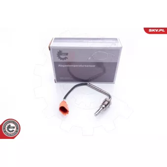 Capteur, température des gaz ESEN SKV 30SKV142