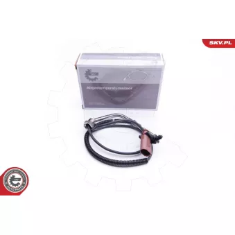 Capteur, température des gaz ESEN SKV