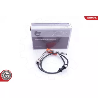Capteur, température des gaz ESEN SKV 30SKV148