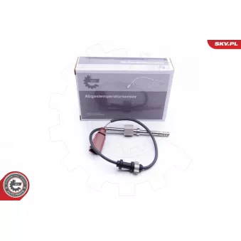 Capteur, température des gaz ESEN SKV 30SKV149