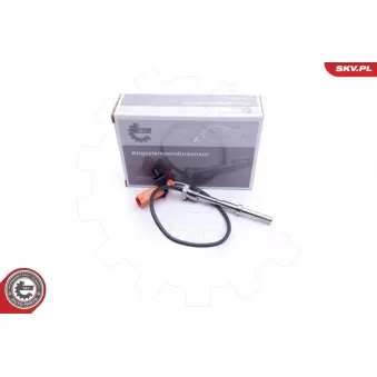 Capteur, température des gaz ESEN SKV 30SKV151