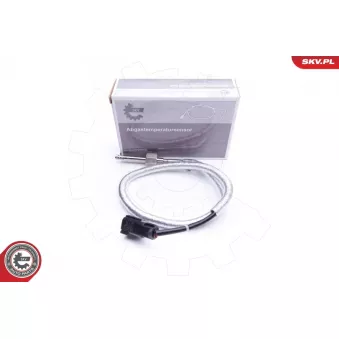Capteur, température des gaz ESEN SKV