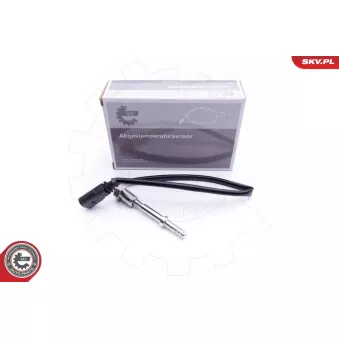 Capteur, température des gaz ESEN SKV 30SKV156