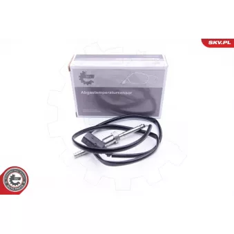 Capteur, température des gaz ESEN SKV 30SKV158