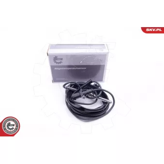 Capteur, température des gaz ESEN SKV 30SKV161