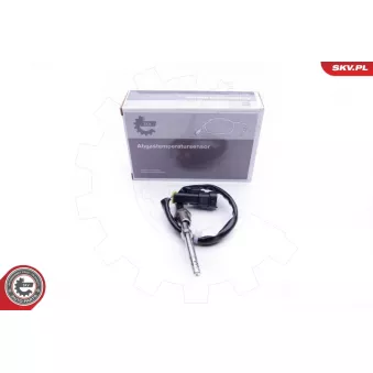 Capteur, température des gaz ESEN SKV 30SKV162