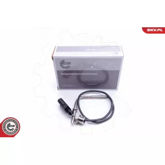 Capteur, température des gaz ESEN SKV 30SKV163