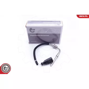 Capteur, température des gaz ESEN SKV 30SKV164