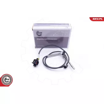 Capteur, température des gaz ESEN SKV 30SKV165