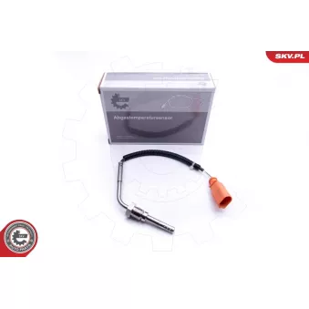 Capteur, température des gaz ESEN SKV 30SKV168
