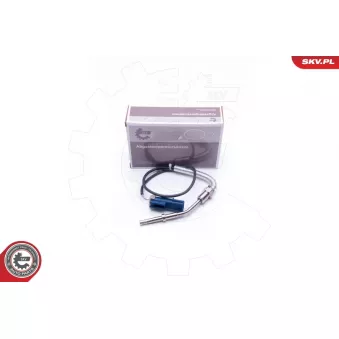 Capteur, température des gaz ESEN SKV 30SKV171