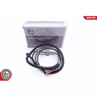 Capteur, température des gaz ESEN SKV 30SKV176