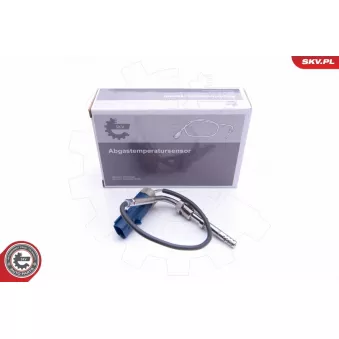 Capteur, température des gaz ESEN SKV
