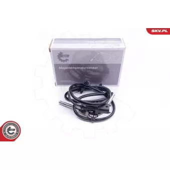 Capteur, température des gaz ESEN SKV 30SKV179