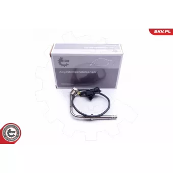 Capteur, température des gaz ESEN SKV 30SKV180