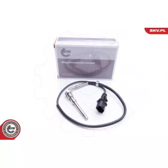 Capteur, température des gaz ESEN SKV 30SKV182