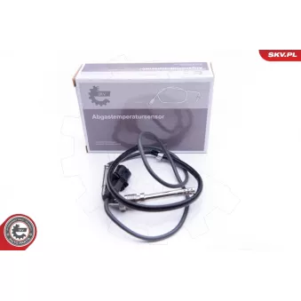 Capteur, température des gaz ESEN SKV 30SKV183