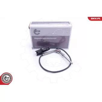 Capteur, température des gaz ESEN SKV