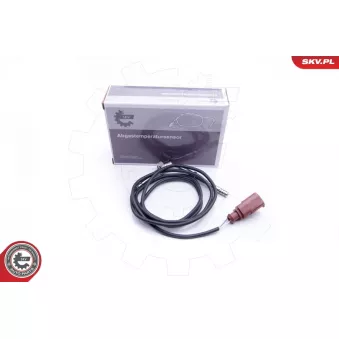 Capteur, température des gaz ESEN SKV 30SKV185