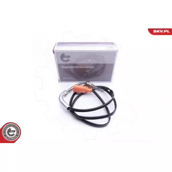Capteur, température des gaz ESEN SKV 30SKV189