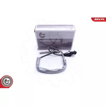 Capteur, température des gaz ESEN SKV 30SKV190