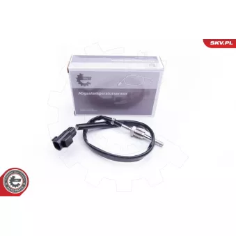 Capteur, température des gaz ESEN SKV 30SKV195