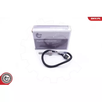 Capteur, température des gaz ESEN SKV 30SKV197