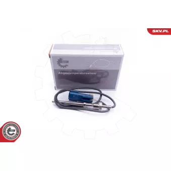 Capteur, température des gaz ESEN SKV