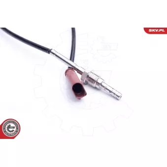 Capteur, température des gaz ESEN SKV 30SKV202