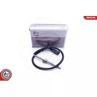 Capteur, température des gaz ESEN SKV 30SKV204