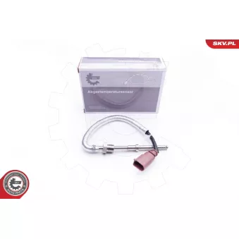 Capteur, température des gaz ESEN SKV 30SKV205