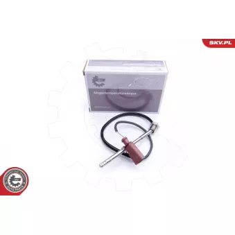 Capteur, température des gaz ESEN SKV 30SKV206