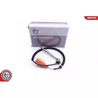 Capteur, température des gaz ESEN SKV 30SKV207