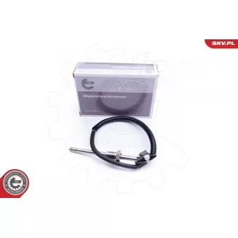 Capteur, température des gaz ESEN SKV 30SKV208