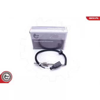 Capteur, température des gaz ESEN SKV 30SKV210