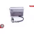 Capteur, température des gaz ESEN SKV 30SKV211 - Visuel 1