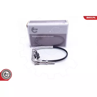 Capteur, température des gaz ESEN SKV 30SKV211