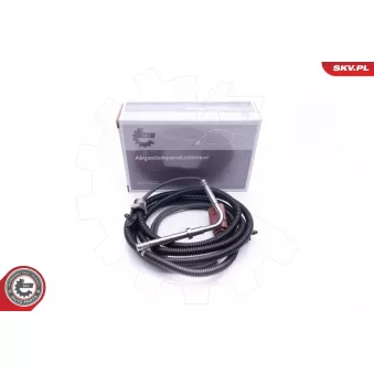 Capteur, température des gaz ESEN SKV 30SKV212