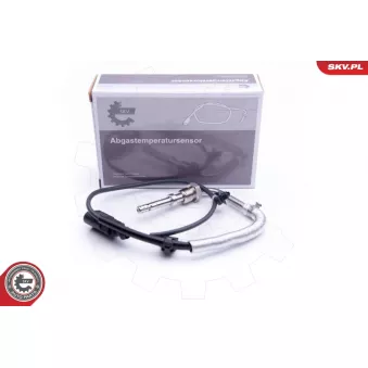 Capteur, température des gaz ESEN SKV
