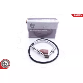 Capteur, température des gaz ESEN SKV 30SKV214