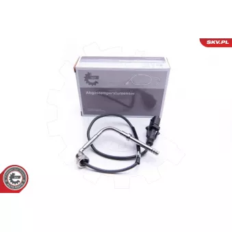 Capteur, température des gaz ESEN SKV 30SKV216