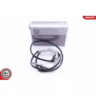 Capteur, température des gaz ESEN SKV 30SKV219