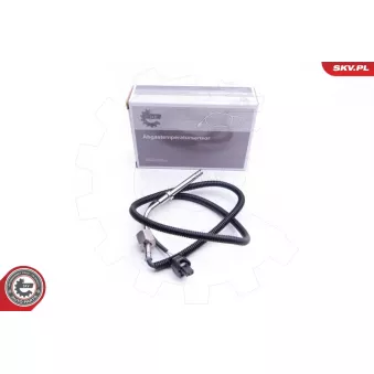 Capteur, température des gaz ESEN SKV 30SKV221