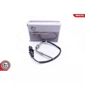 Capteur, température des gaz ESEN SKV 30SKV224